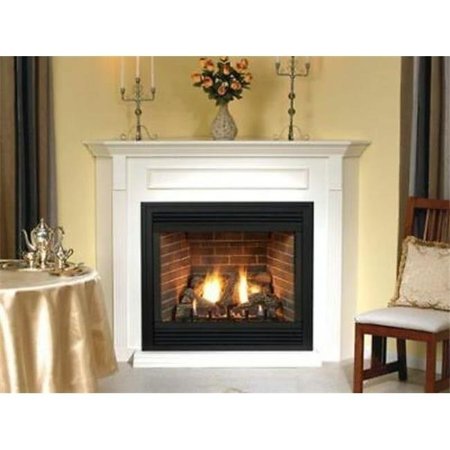 EMPIRE Empire DVP36FP91N Multi-Function Control Natural Gas Fireplace with Blower DVP36FP91N